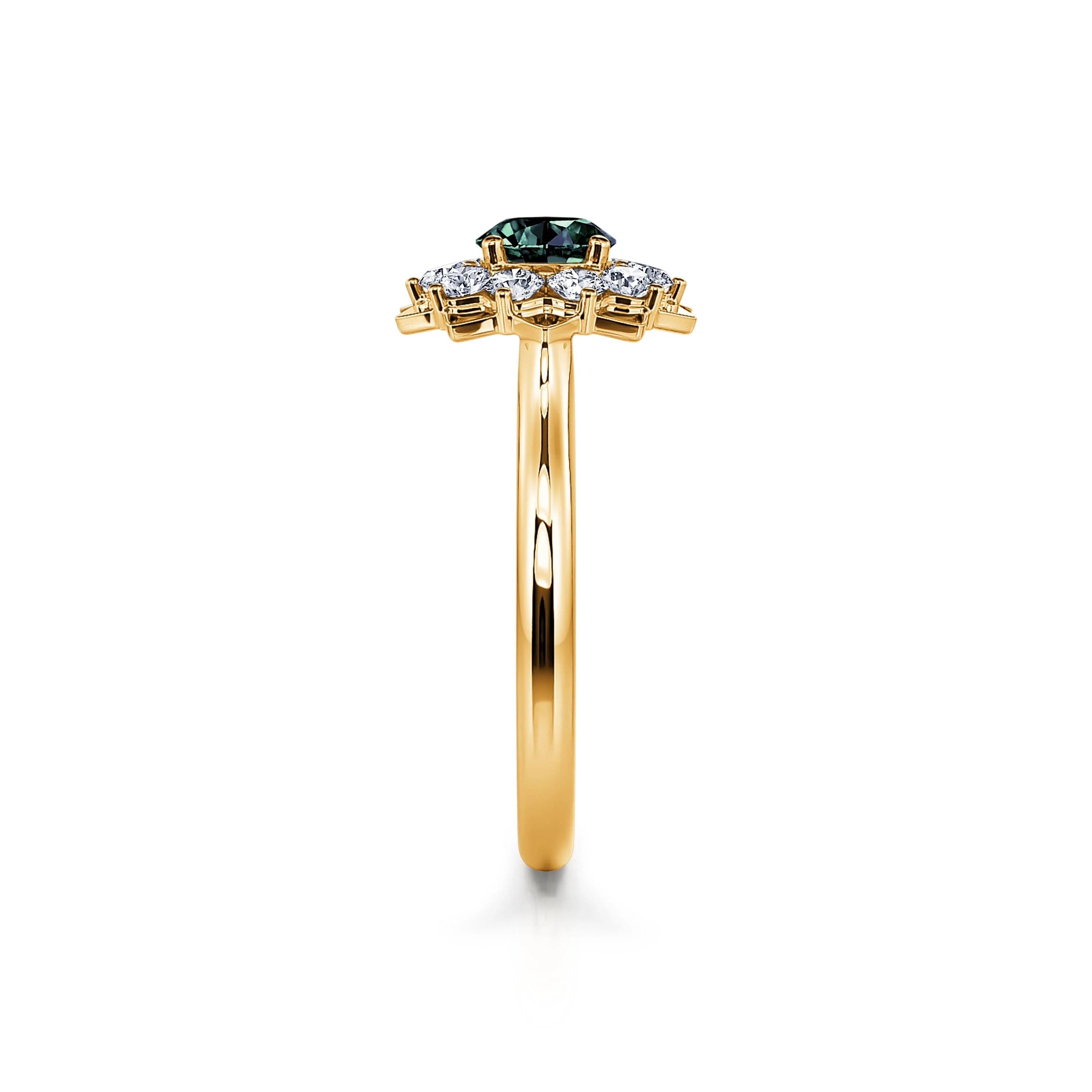 Colombine Saphir Vert - Image 3