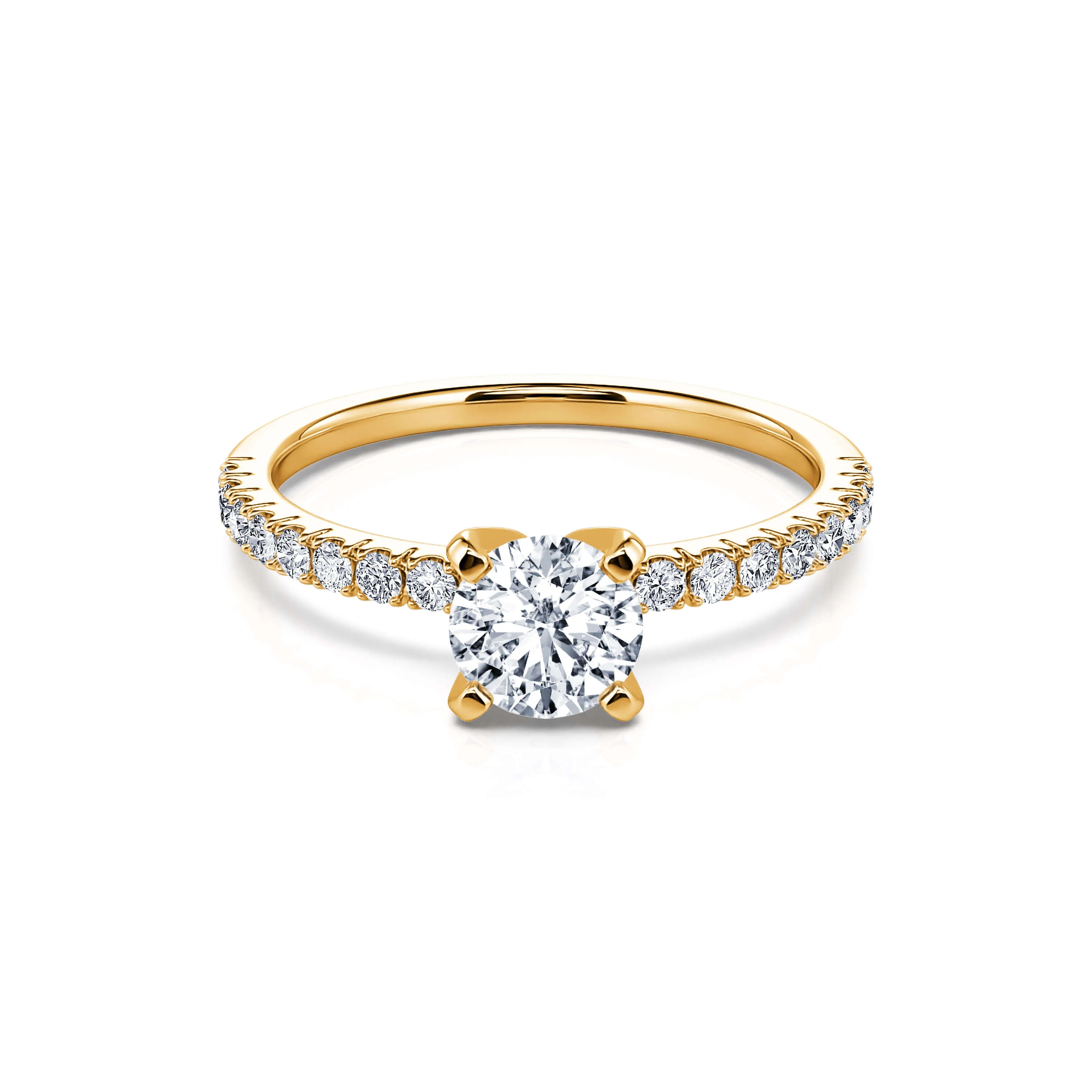 Dorine Lab - Image 3