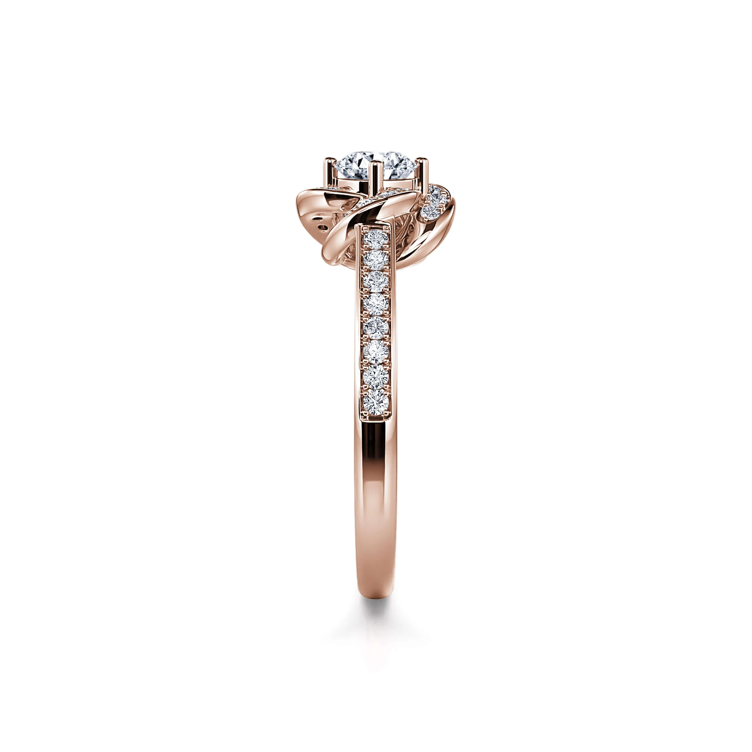 Flora - Image 6
