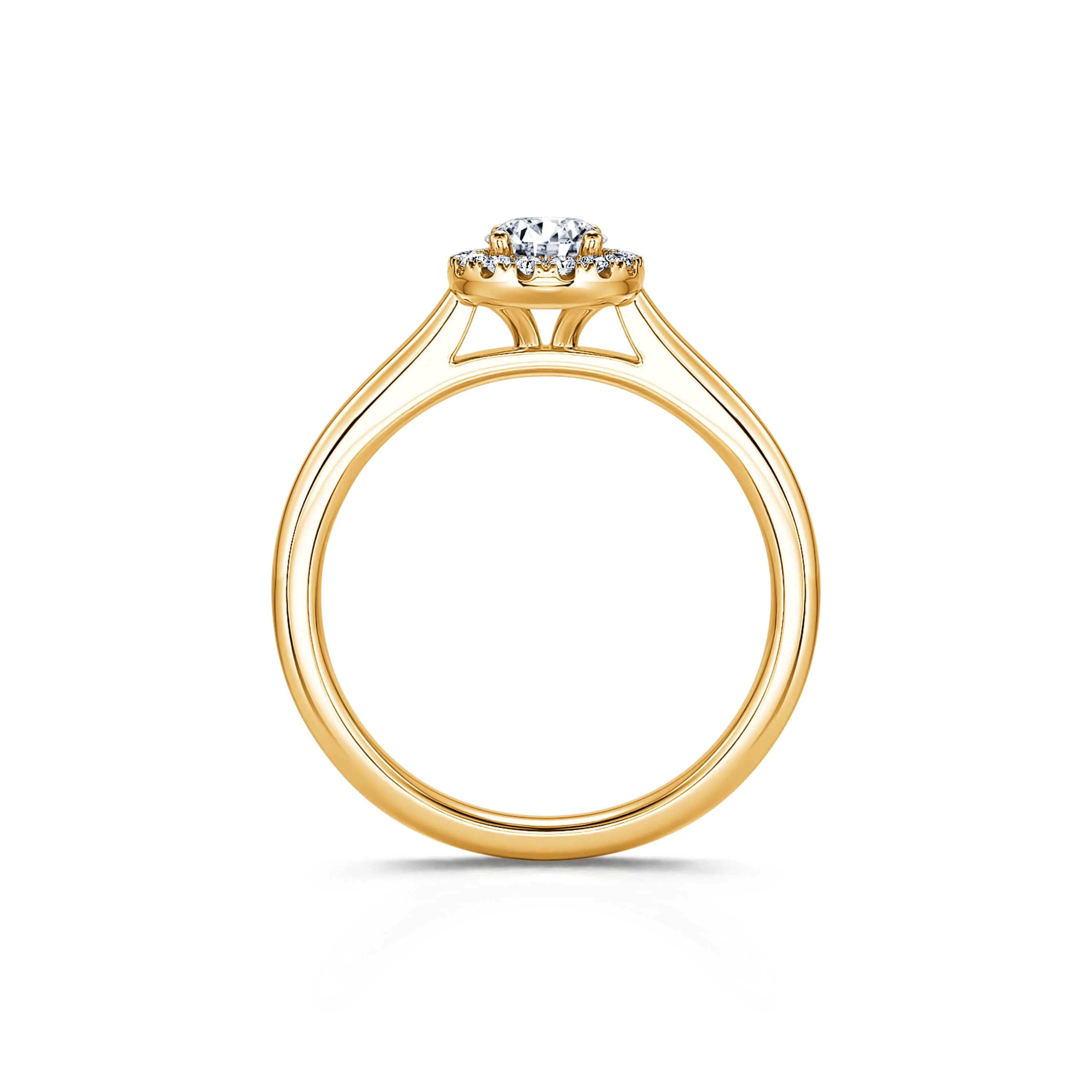 Odette - Image 3