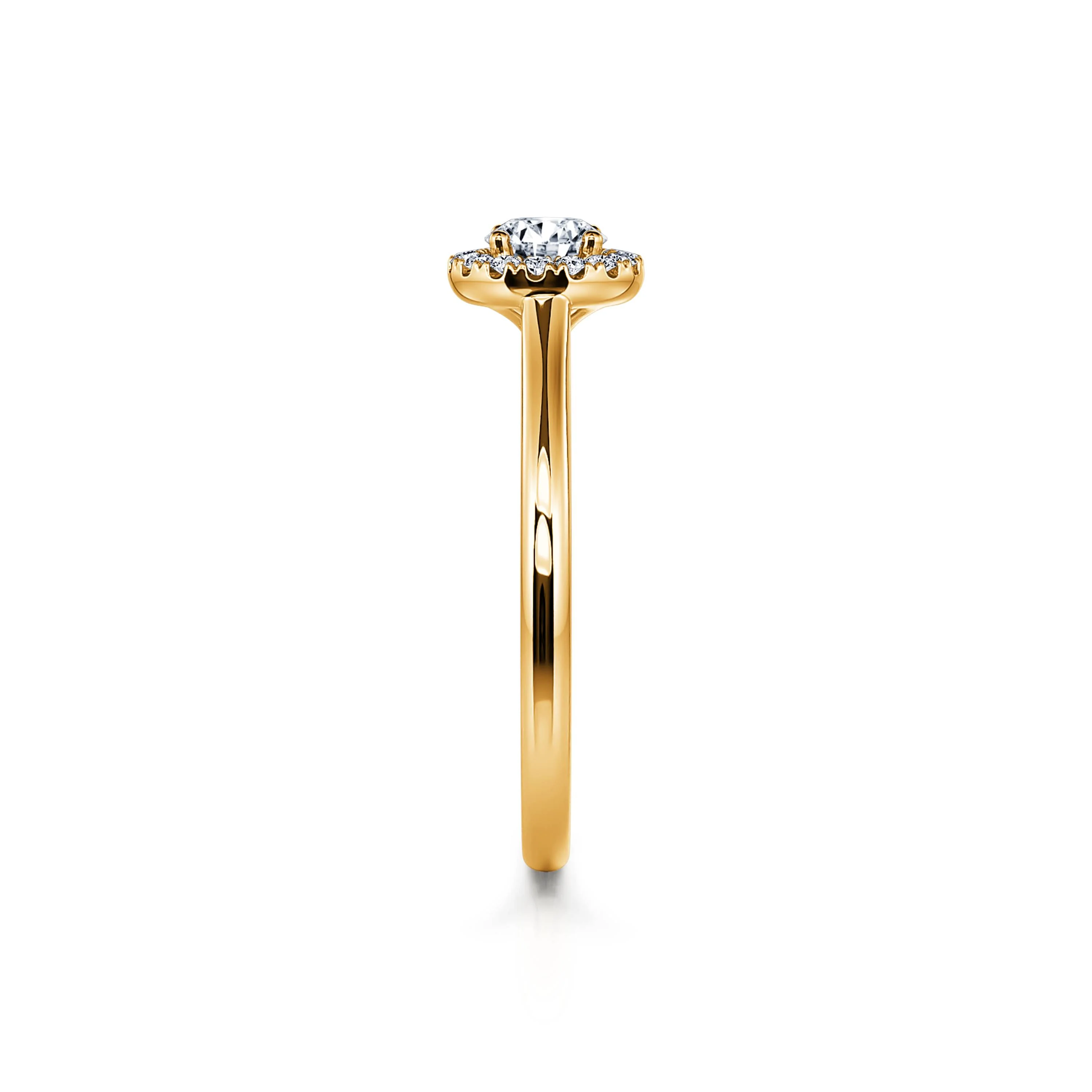 Odette - Image 4