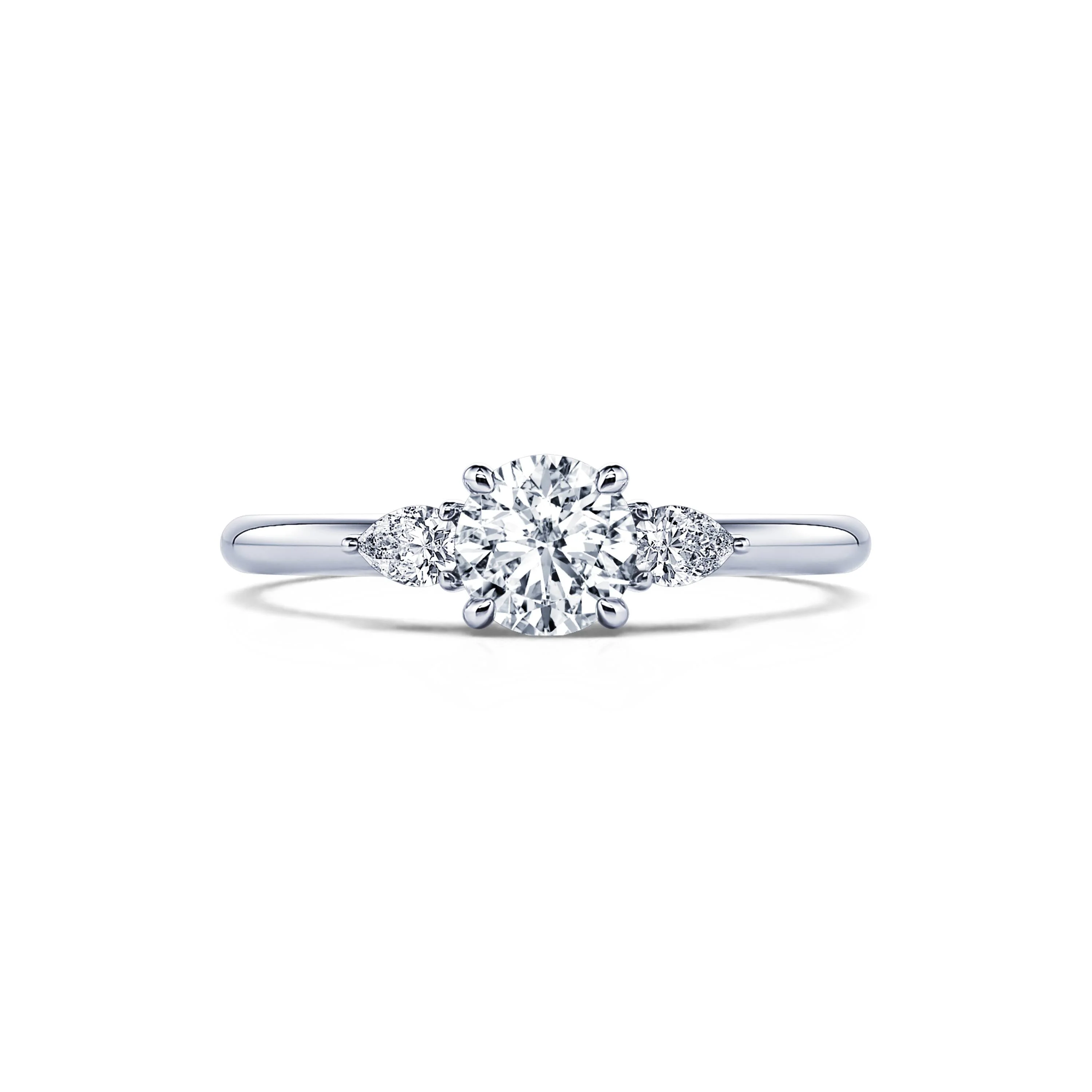 Rosa - Image 5